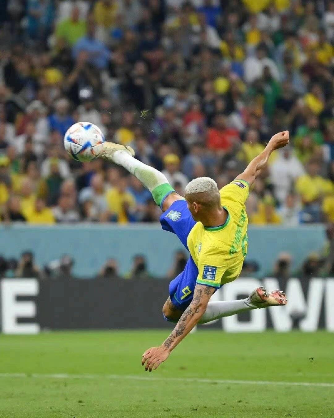 都会导致山 都会导致山