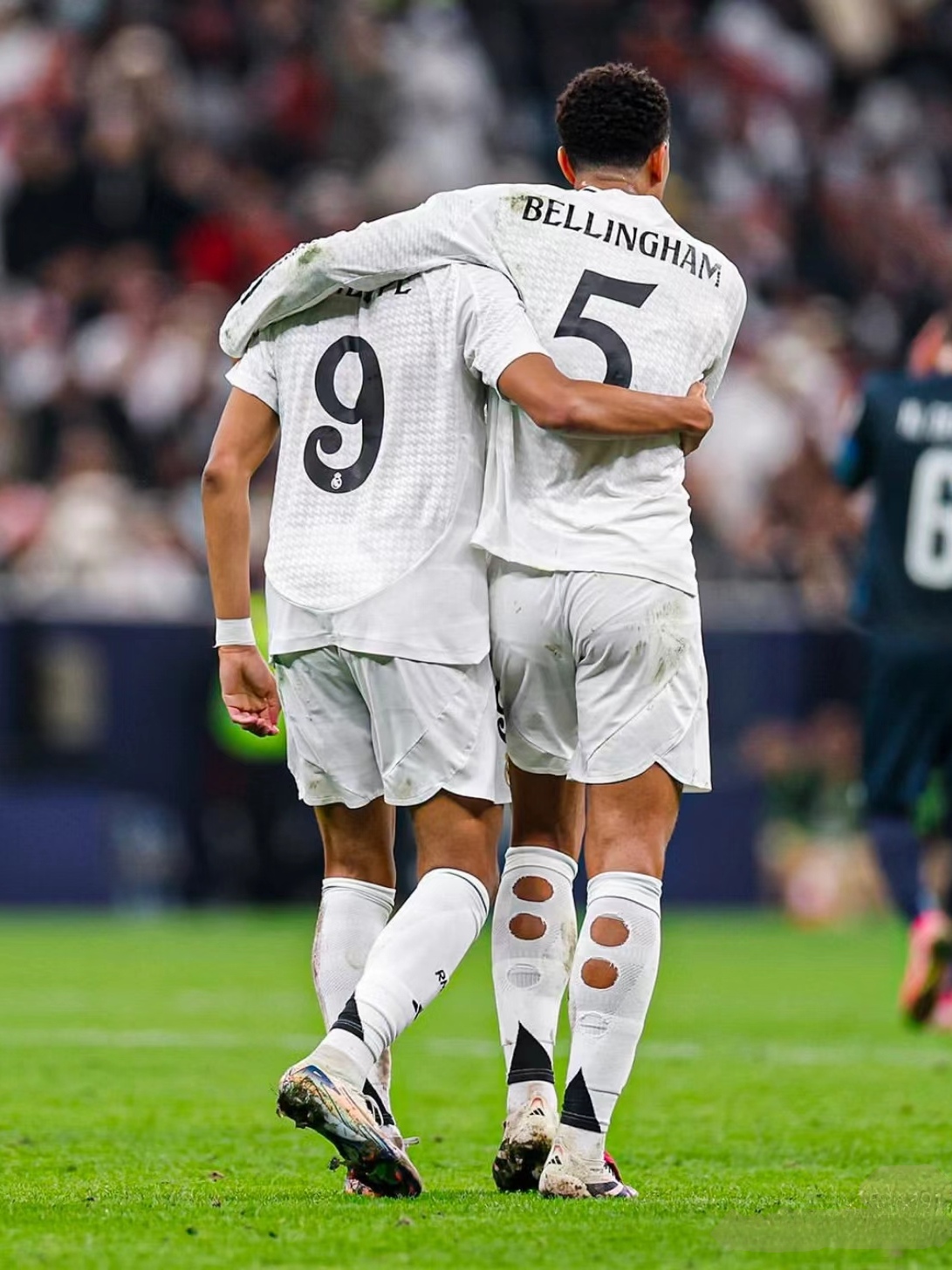 让球迷们对 让球迷们对