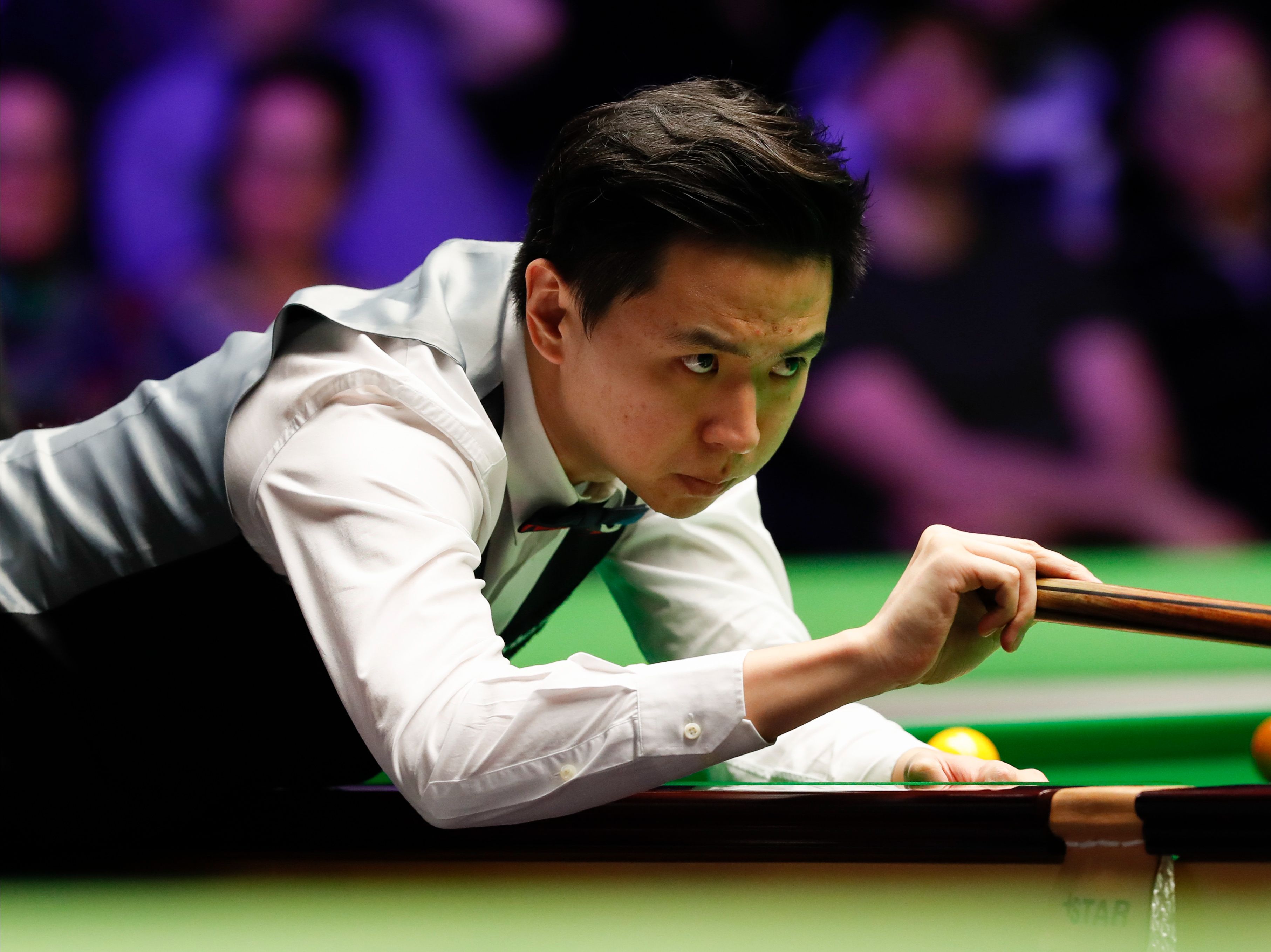 他们拥有应 他们拥有应